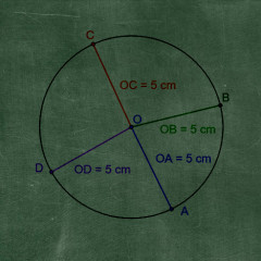 Szakaszfelező merőleges